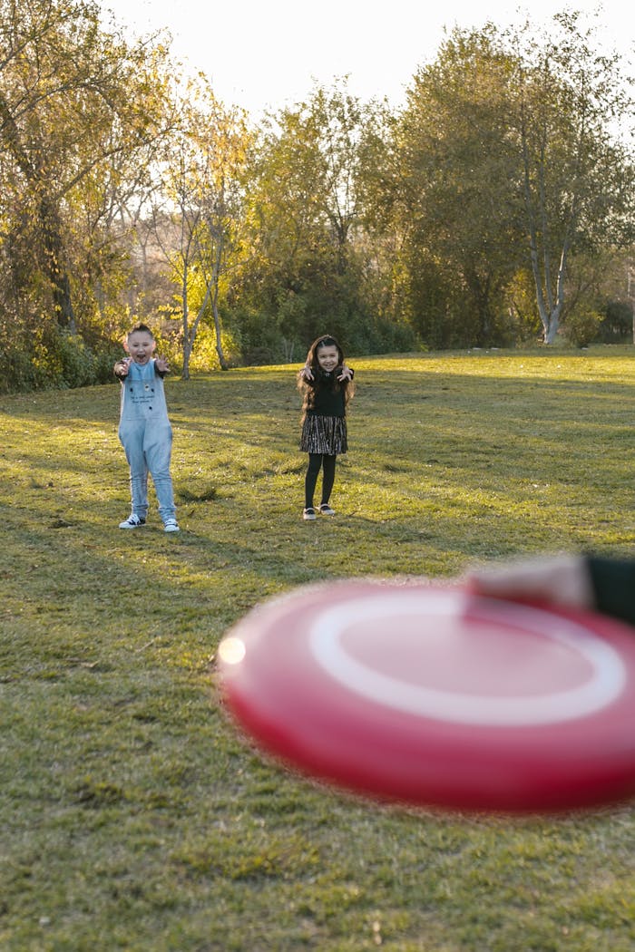 Kids enjoying a fun game of frisbee in a sunlit park, capturing joyful outdoor activities.